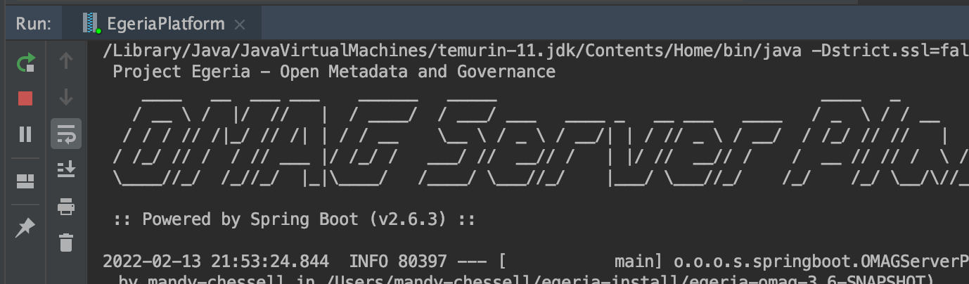 Run tab control panel