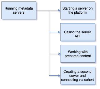 Running Metadata Servers Content