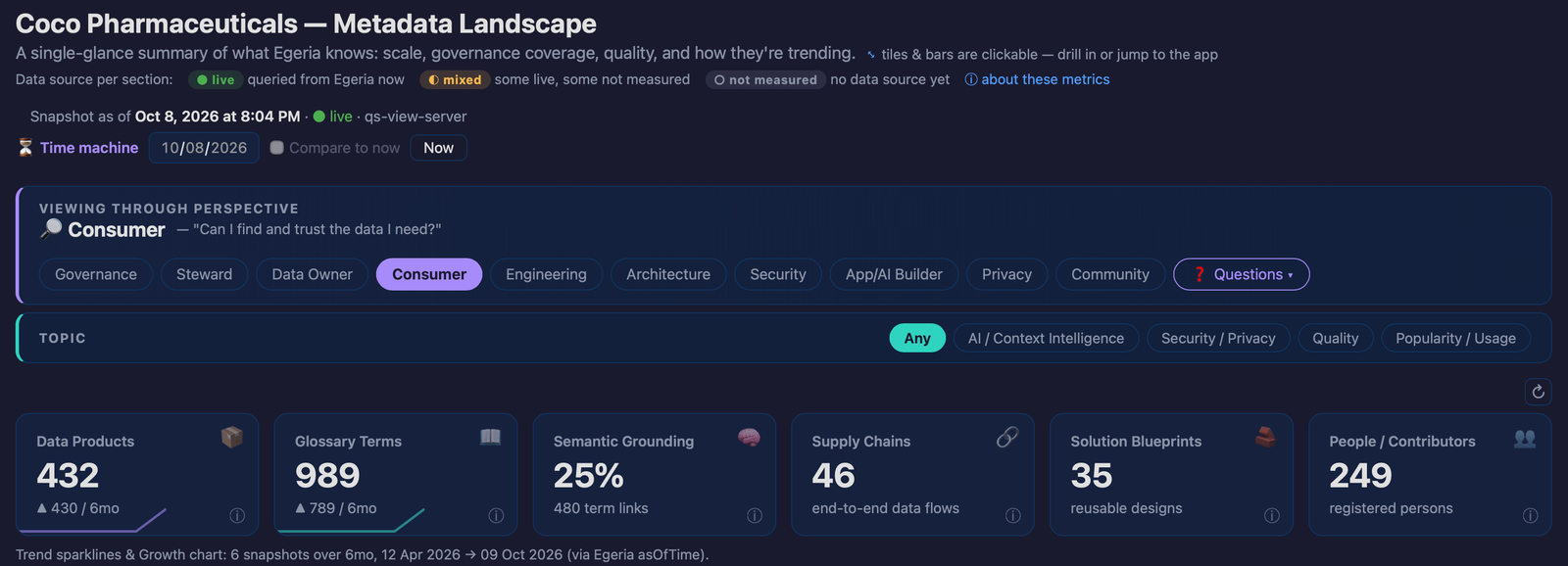 The Egeria Overview dashboard viewed through the Consumer perspective