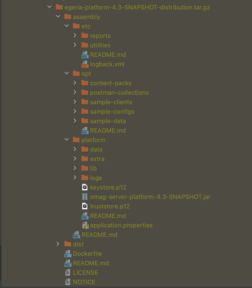 OMAG Server Platform Assembly